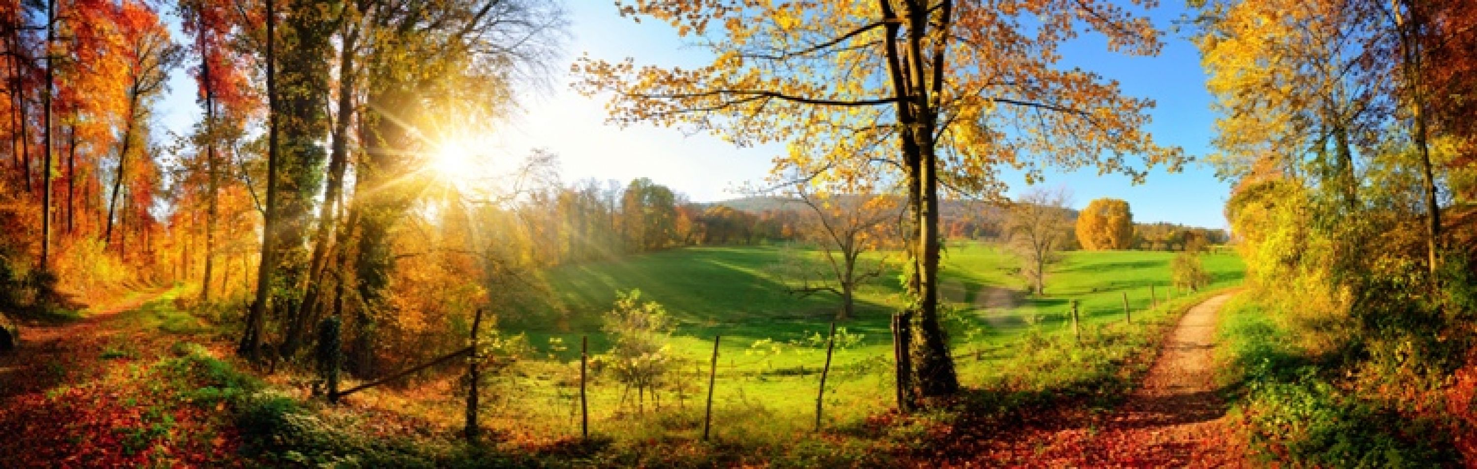 Rückwand "Panorama im Herbst"